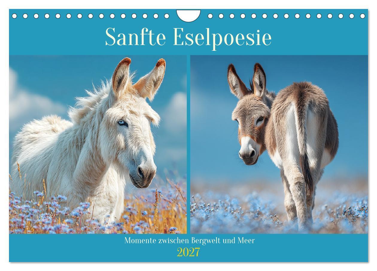 Sanfte Eselpoesie. Momente zwischen Bergwelt und Meer (Wandkalender 2027 DIN A4 quer) CALVENDO Monatskalender