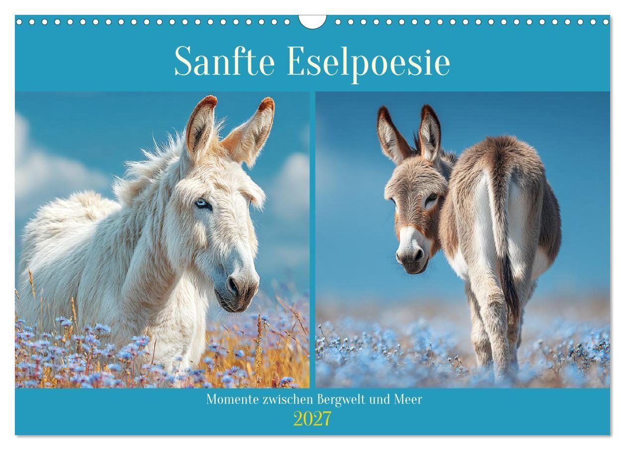 Sanfte Eselpoesie. Momente zwischen Bergwelt und Meer (Wandkalender 2027 DIN A3 quer) CALVENDO Monatskalender