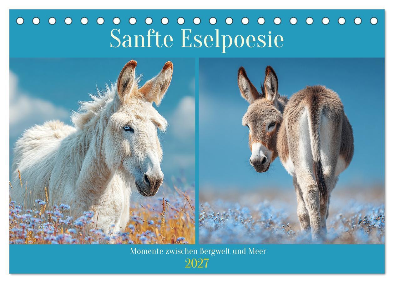 Sanfte Eselpoesie. Momente zwischen Bergwelt und Meer (Tischkalender 2027 DIN A5 quer) CALVENDO Monatskalender