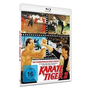 Karate Tiger 2 - Raging Thunder