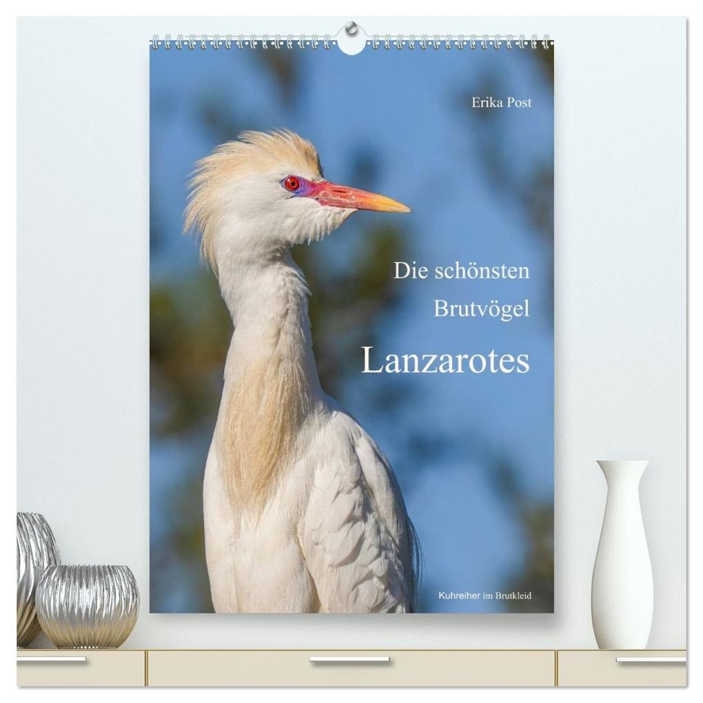 Die schönsten Brutvögel Lanzarotes (hochwertiger Premium Wandkalender 2027 DIN A2 hoch) Kunstdruck in Hochglanz