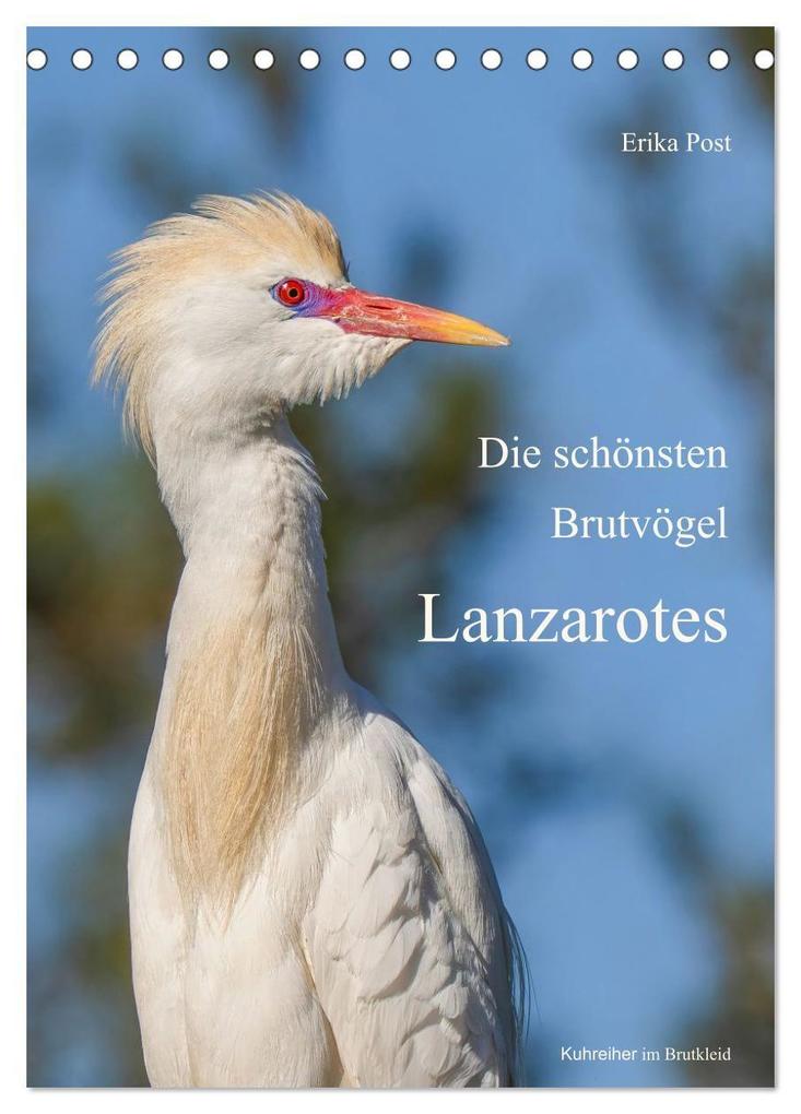 Die schönsten Brutvögel Lanzarotes (Tischkalender 2027 DIN A5 hoch) CALVENDO Monatskalender