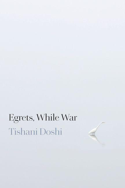 Egrets While War