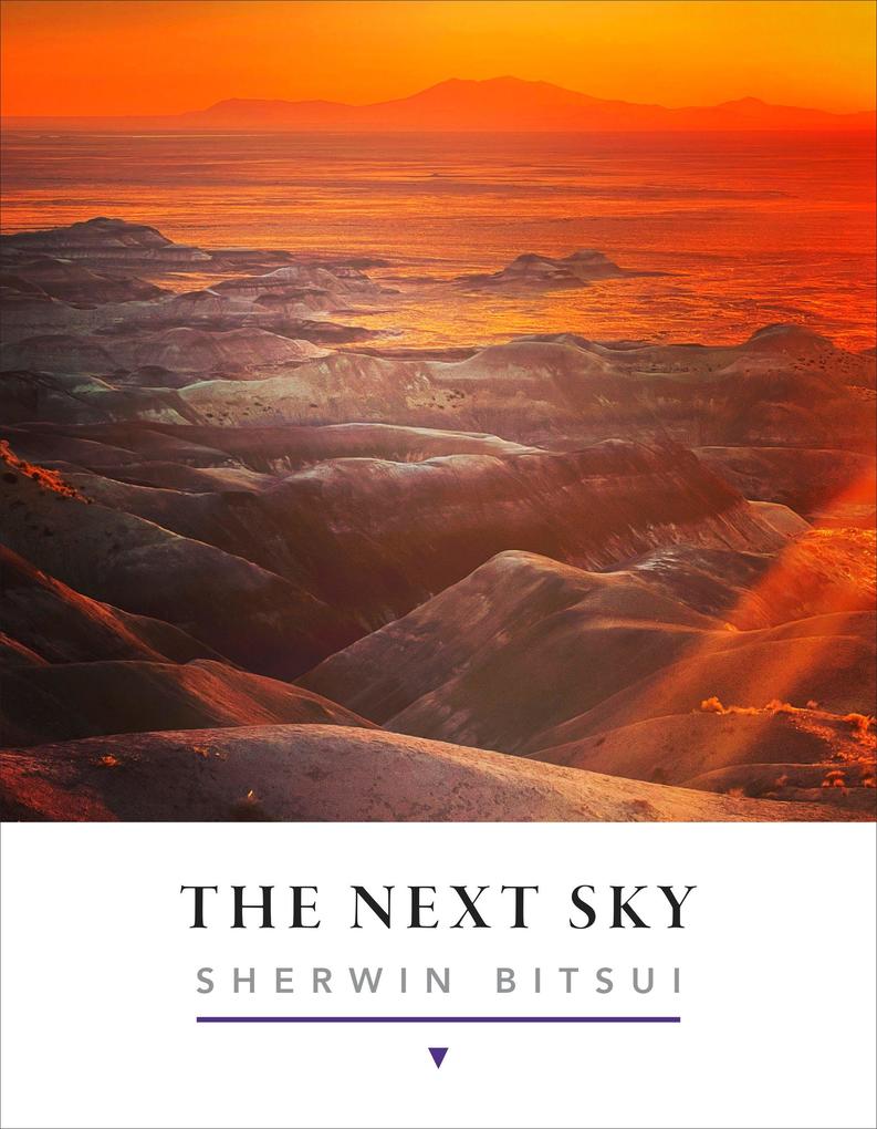 The Next Sky