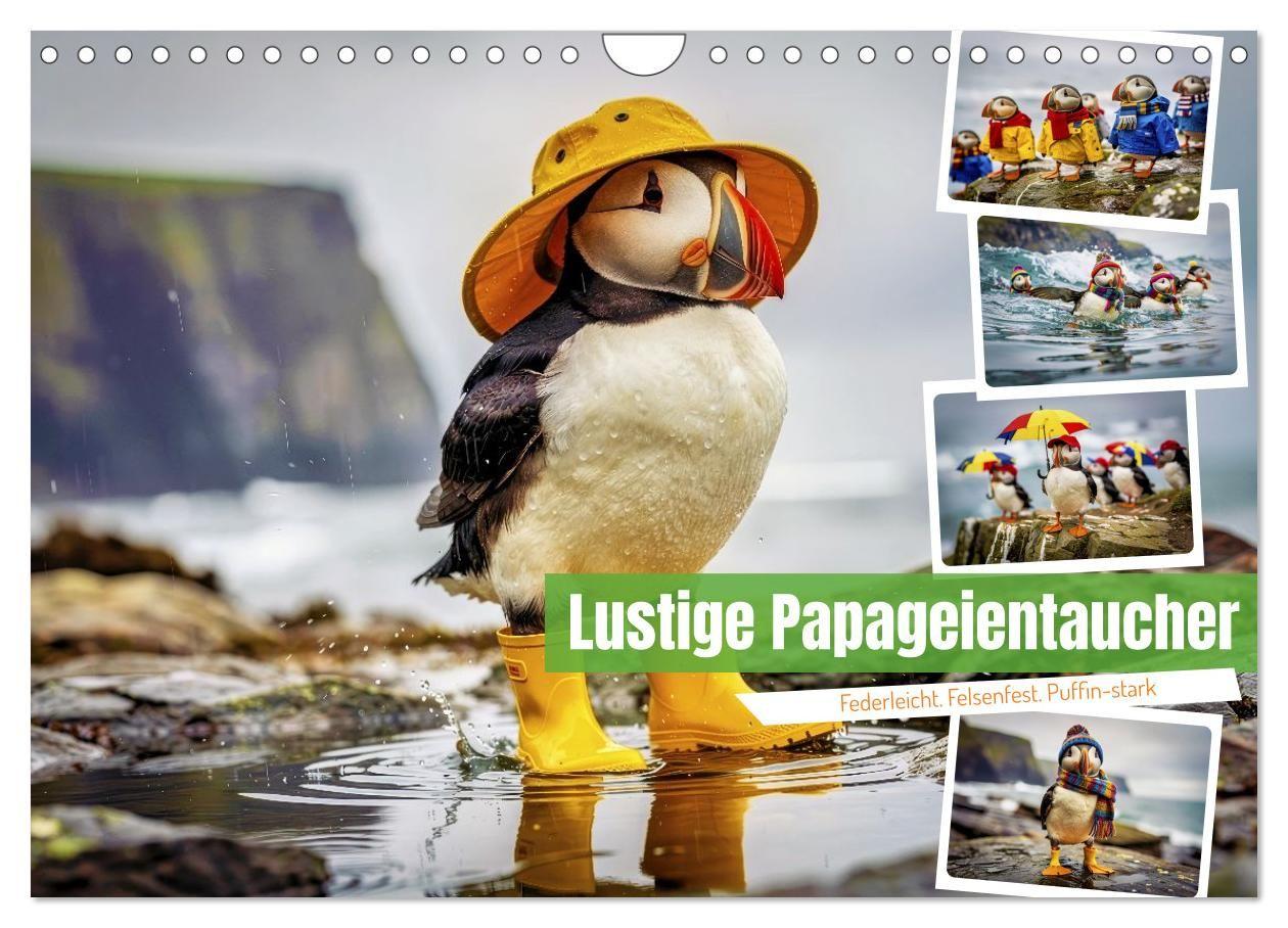 Lustige Papageientaucher (Wandkalender 2027 DIN A4 quer) CALVENDO Monatskalender
