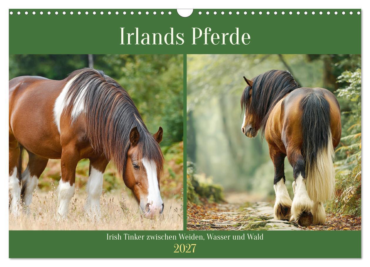 Irlands Pferde. Irish Tinker zwischen Weiden Wasser und Wald (Wandkalender 2027 DIN A3 quer) CALVENDO Monatskalender