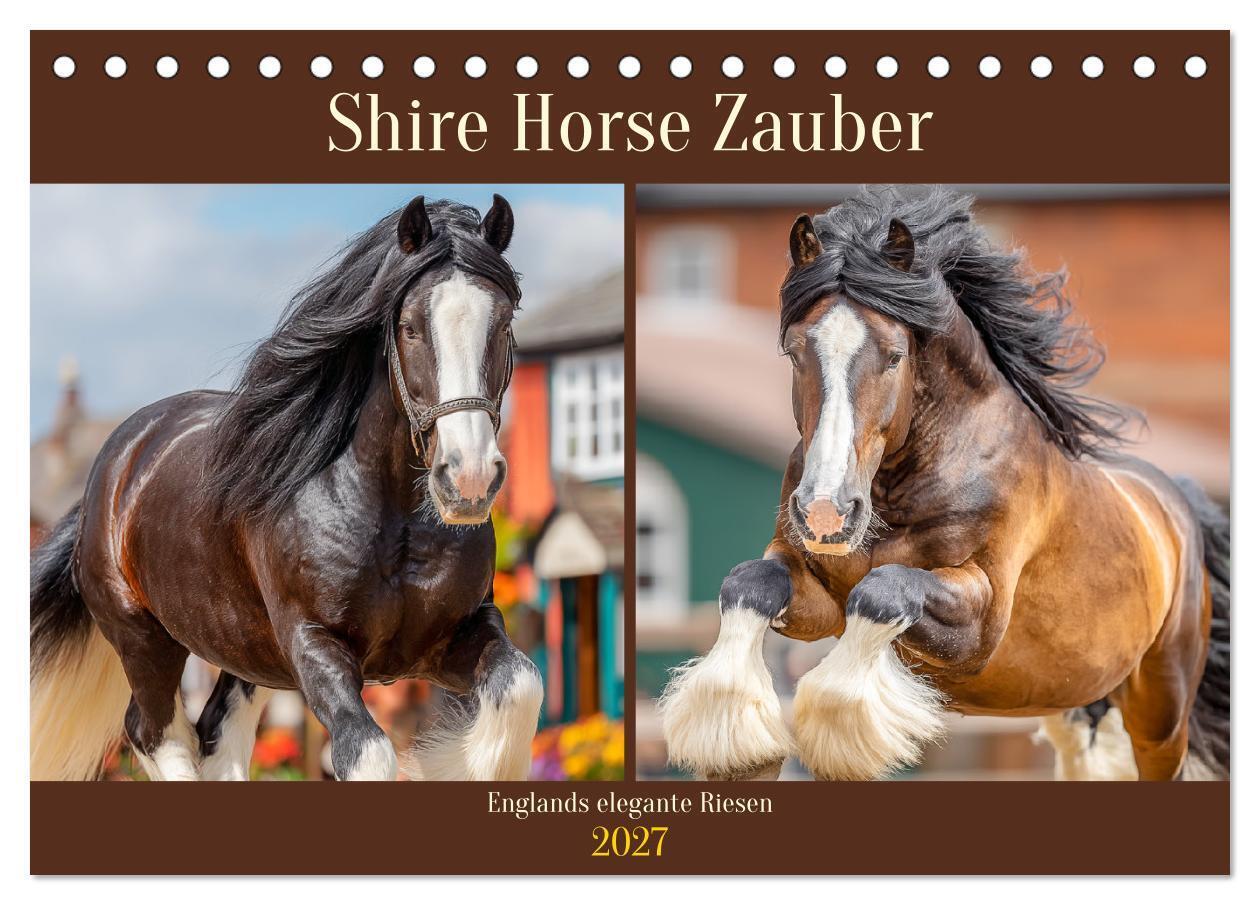 Shire Horse Zauber. Englands elegante Riesen (Tischkalender 2027 DIN A5 quer) CALVENDO Monatskalender