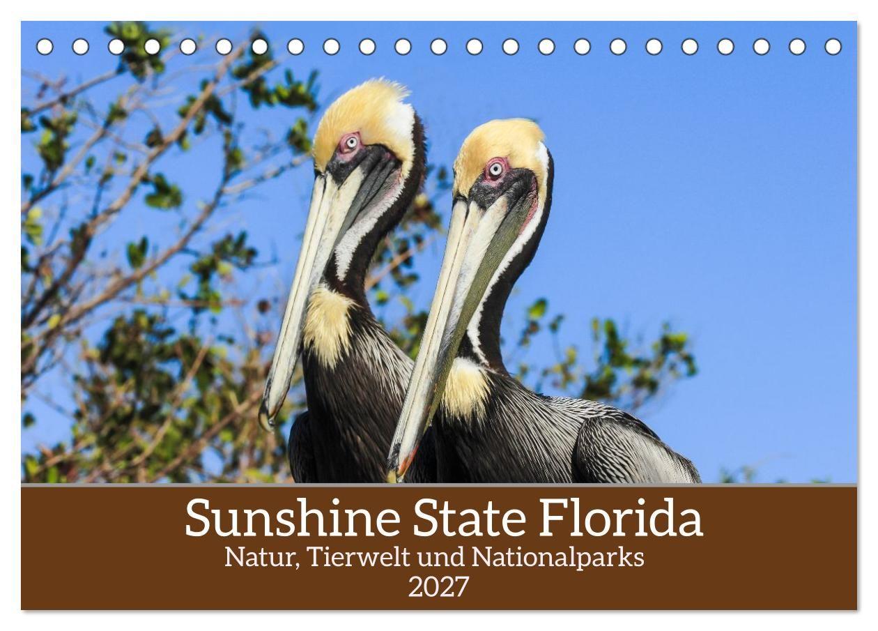 Sunshine State Florida Natur Tierwelt und Nationalparks (Tischkalender 2027 DIN A5 quer) CALVENDO Monatskalender
