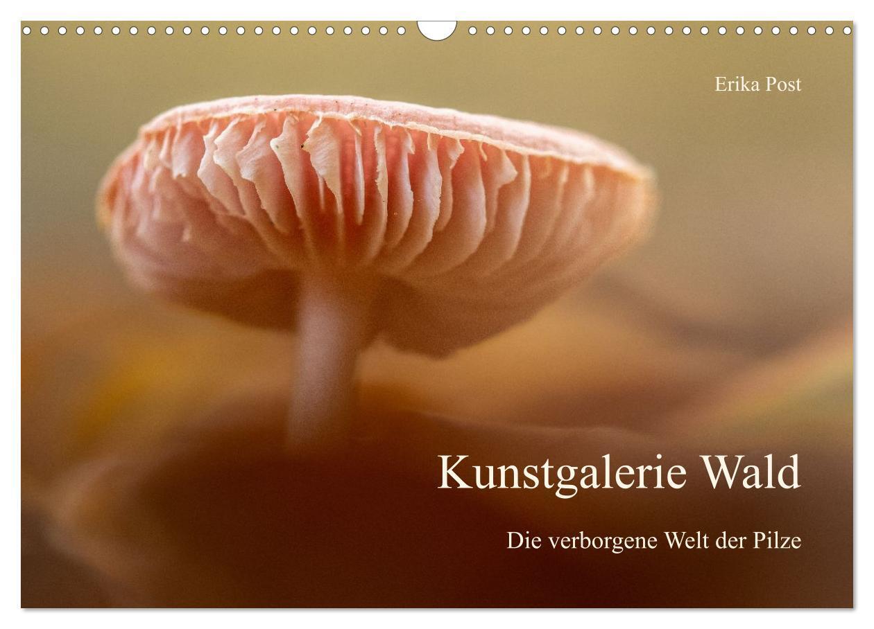 Kunstgalerie Wald - die verborgene Welt der Pilze (Wandkalender 2027 DIN A3 quer) CALVENDO Monatskalender