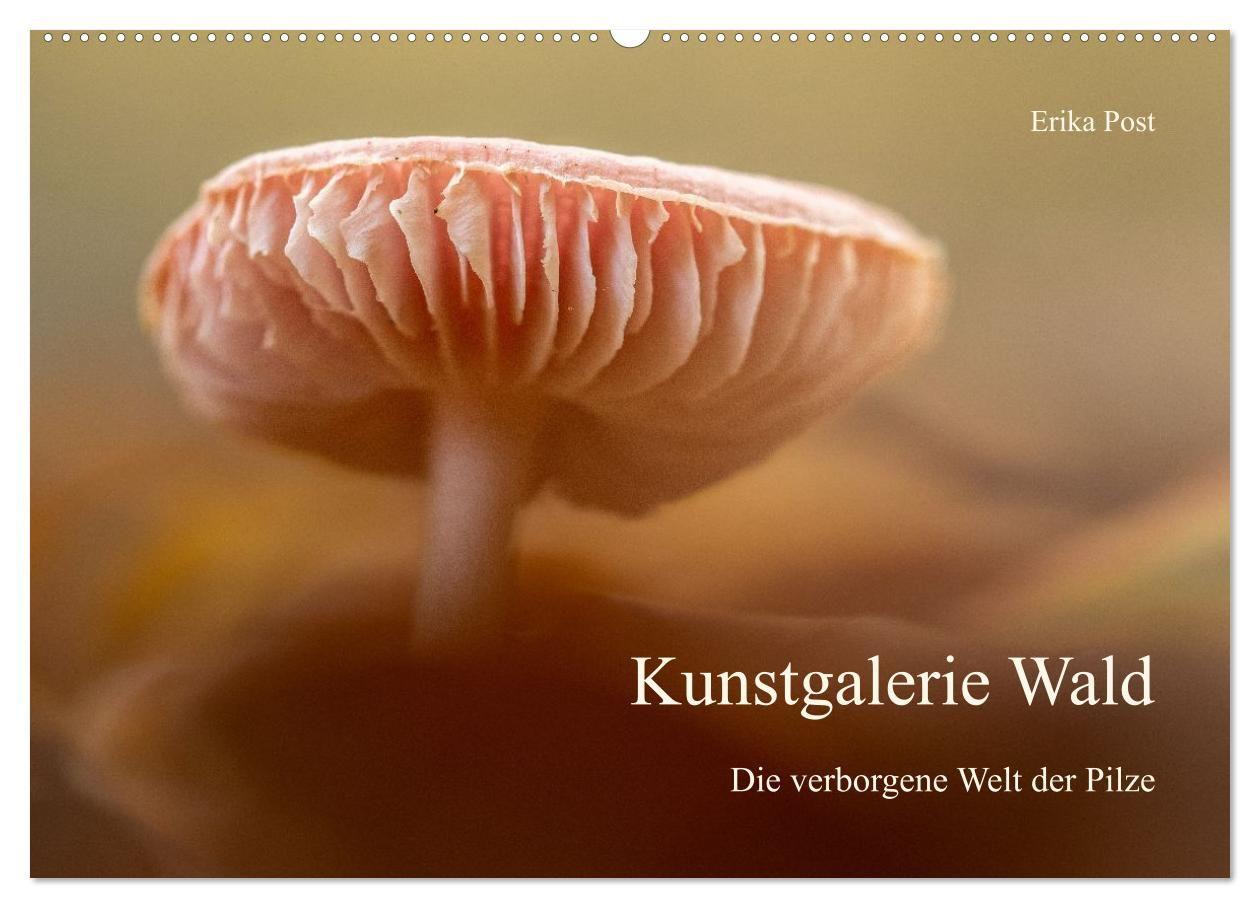 Kunstgalerie Wald - die verborgene Welt der Pilze (Wandkalender 2027 DIN A2 quer) CALVENDO Monatskalender