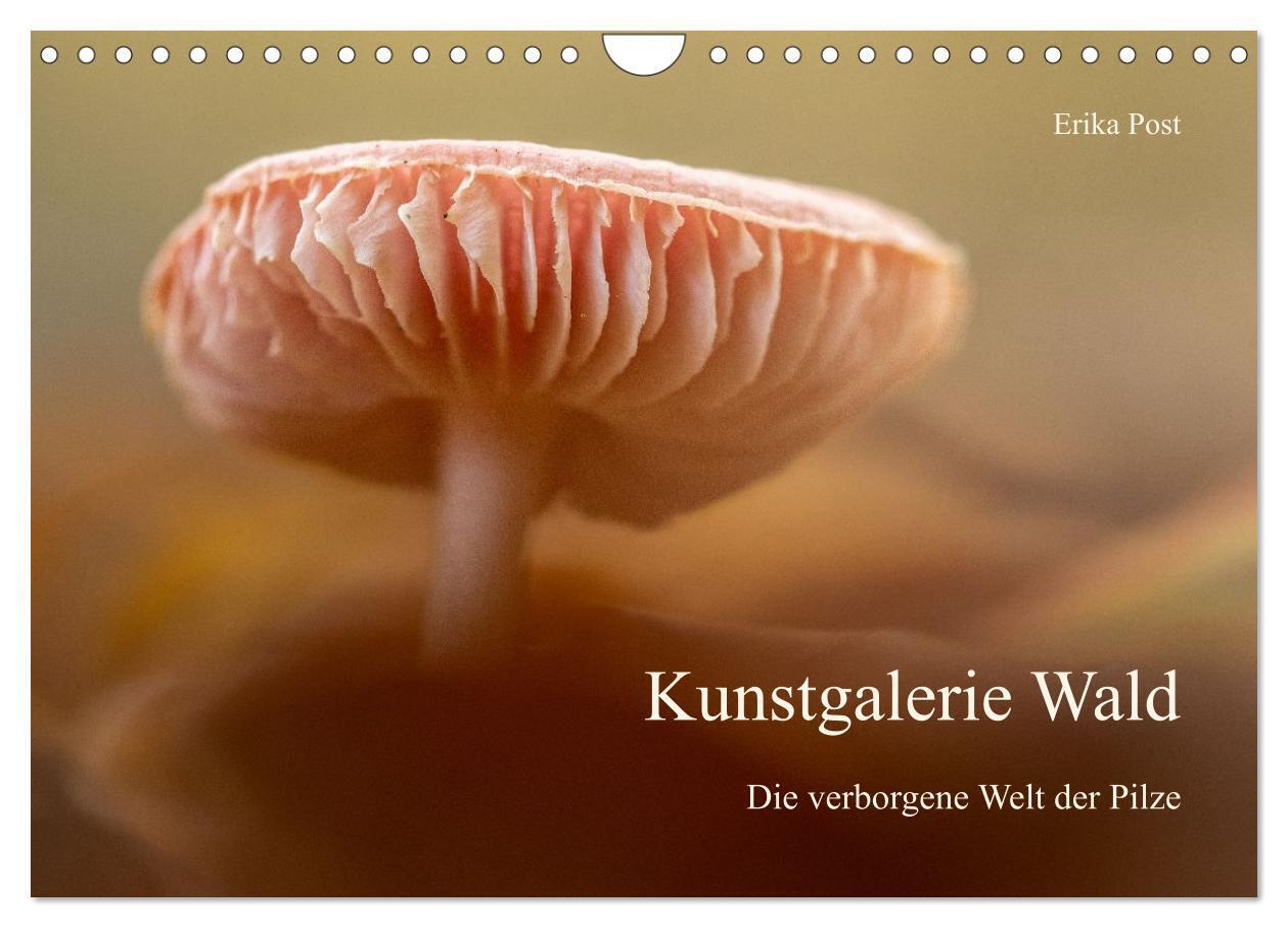 Kunstgalerie Wald - die verborgene Welt der Pilze (Wandkalender 2027 DIN A4 quer) CALVENDO Monatskalender