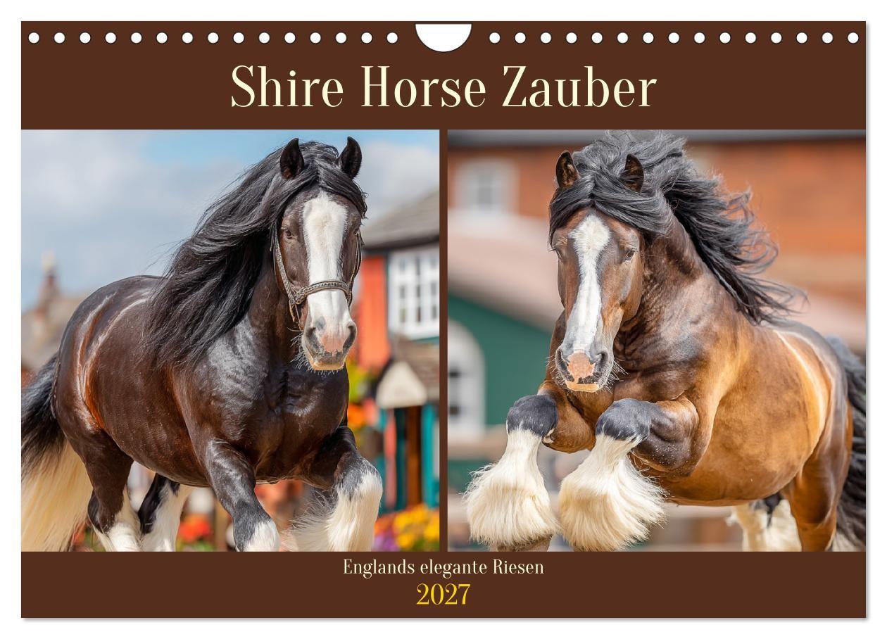 Shire Horse Zauber. Englands elegante Riesen (Wandkalender 2027 DIN A4 quer) CALVENDO Monatskalender