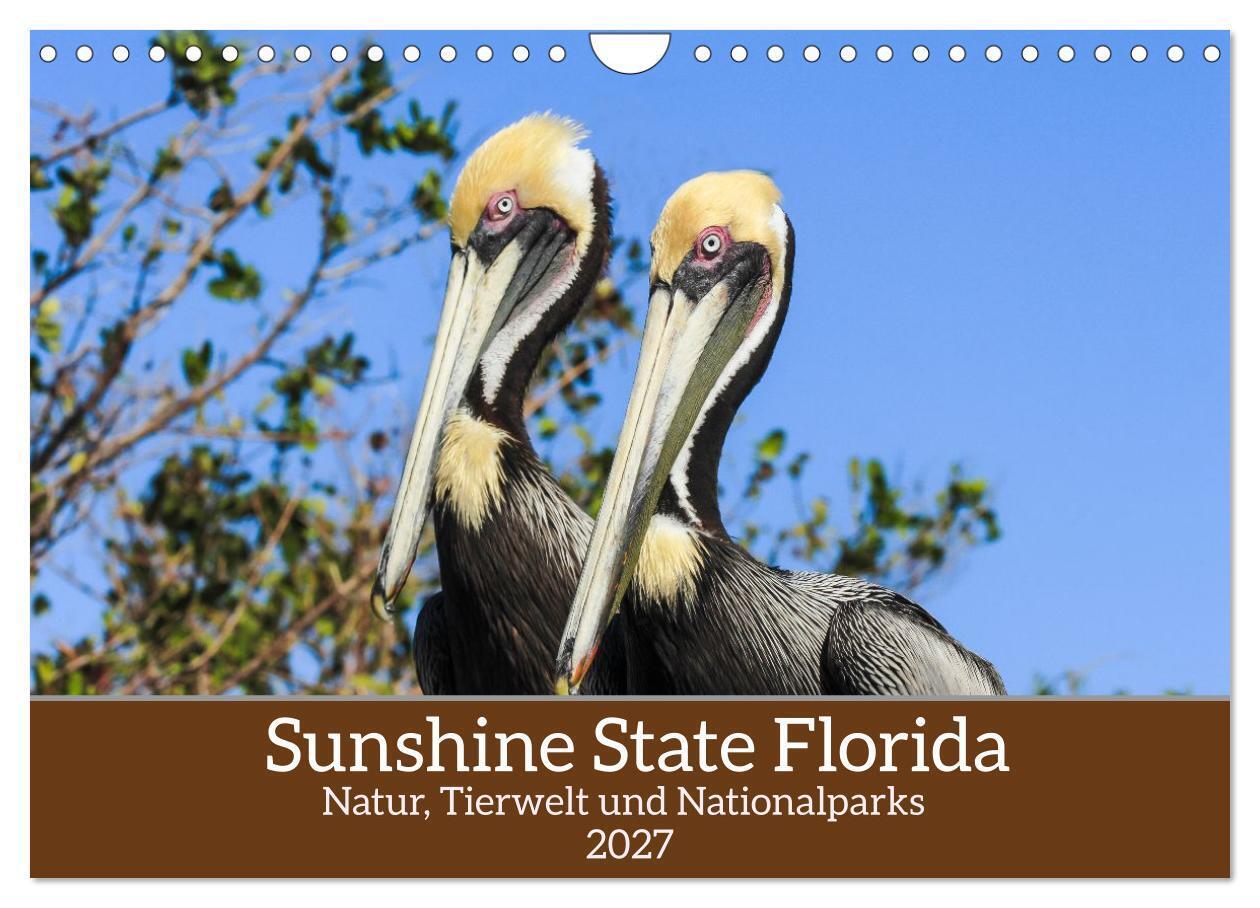 Sunshine State Florida Natur Tierwelt und Nationalparks (Wandkalender 2027 DIN A4 quer) CALVENDO Monatskalender