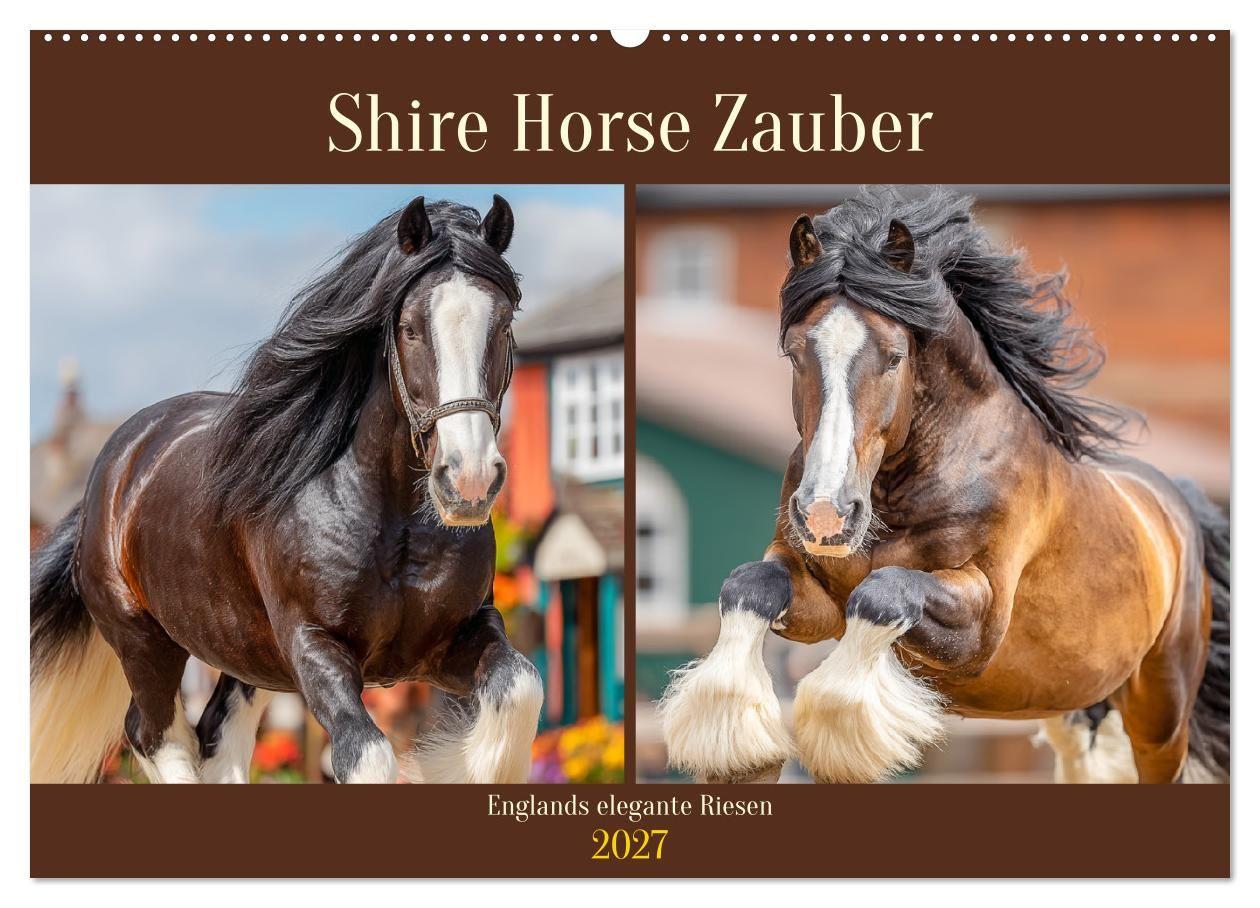 Shire Horse Zauber. Englands elegante Riesen (Wandkalender 2027 DIN A2 quer) CALVENDO Monatskalender