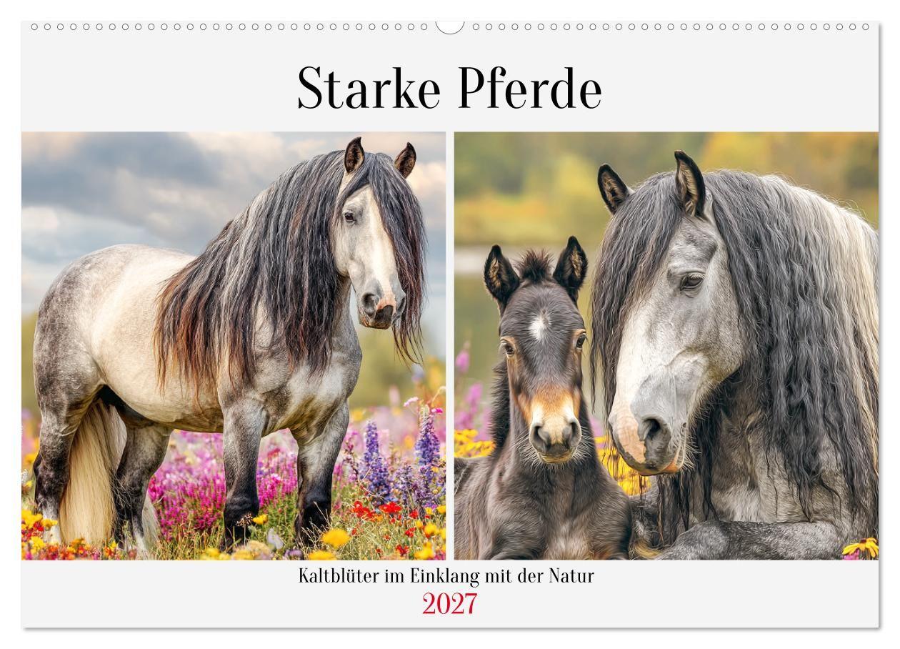 Starke Pferde. Kaltblüter im Einklang mit der Natur (Wandkalender 2027 DIN A2 quer) CALVENDO Monatskalender