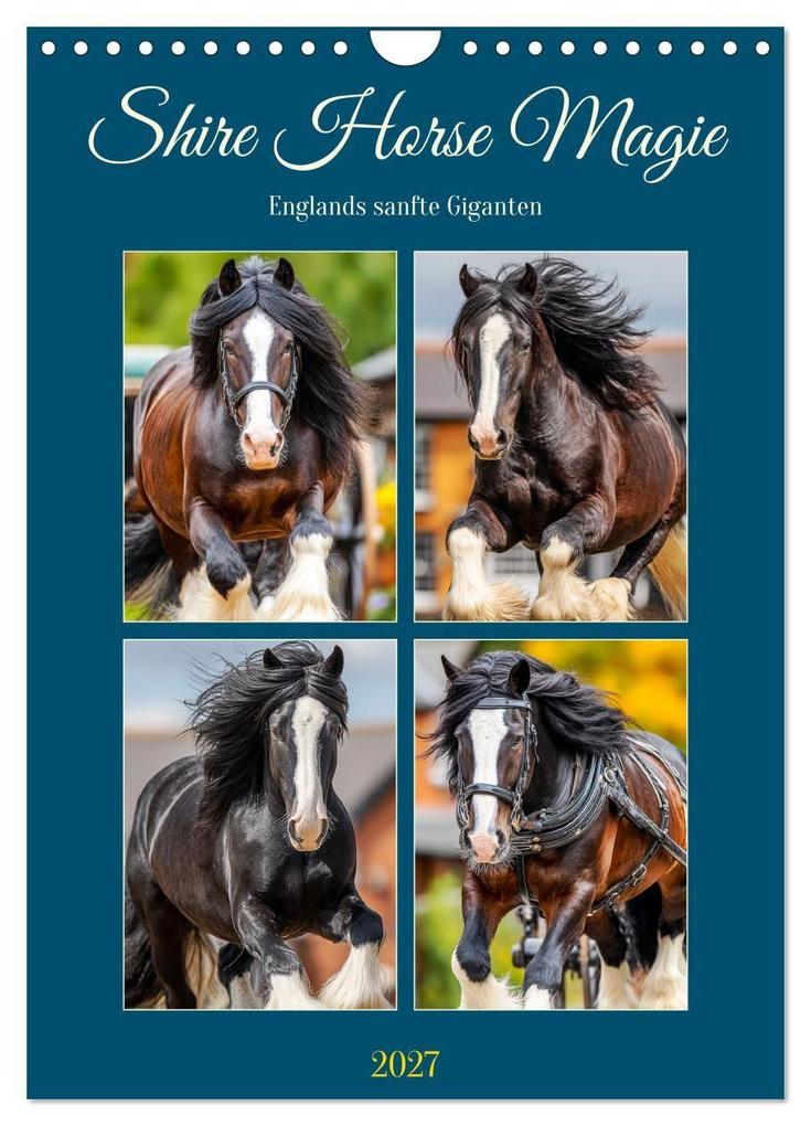 Shire Horse Magie. Englands sanfte Giganten (Wandkalender 2027 DIN A4 hoch) CALVENDO Monatskalender