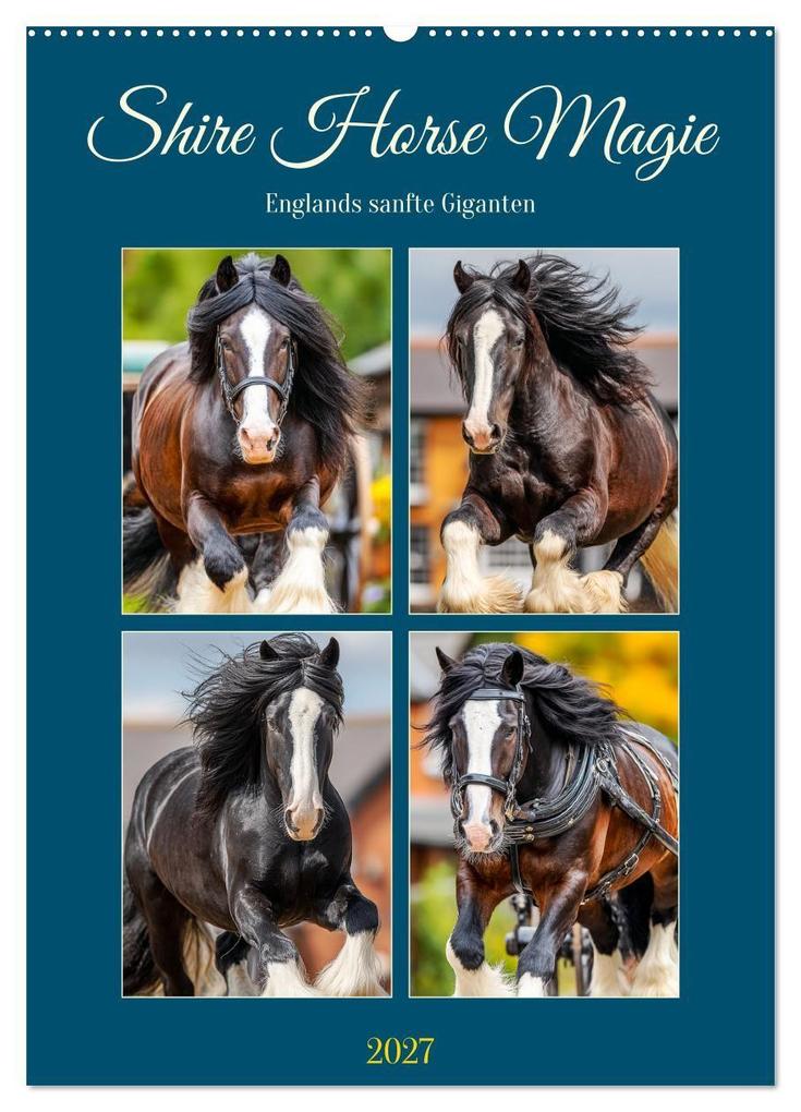 Shire Horse Magie. Englands sanfte Giganten (Wandkalender 2027 DIN A2 hoch) CALVENDO Monatskalender