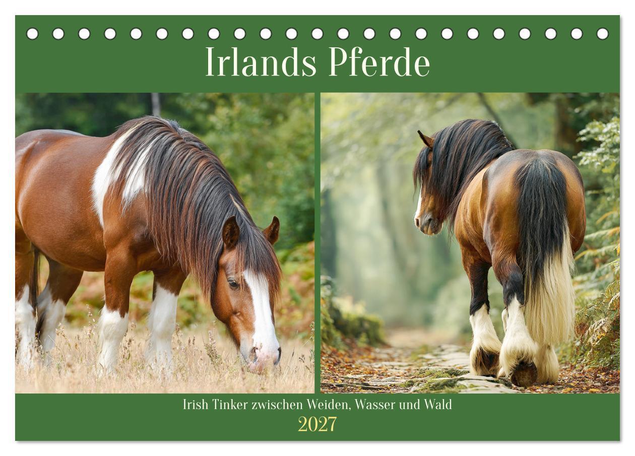 Irlands Pferde. Irish Tinker zwischen Weiden Wasser und Wald (Tischkalender 2027 DIN A5 quer) CALVENDO Monatskalender