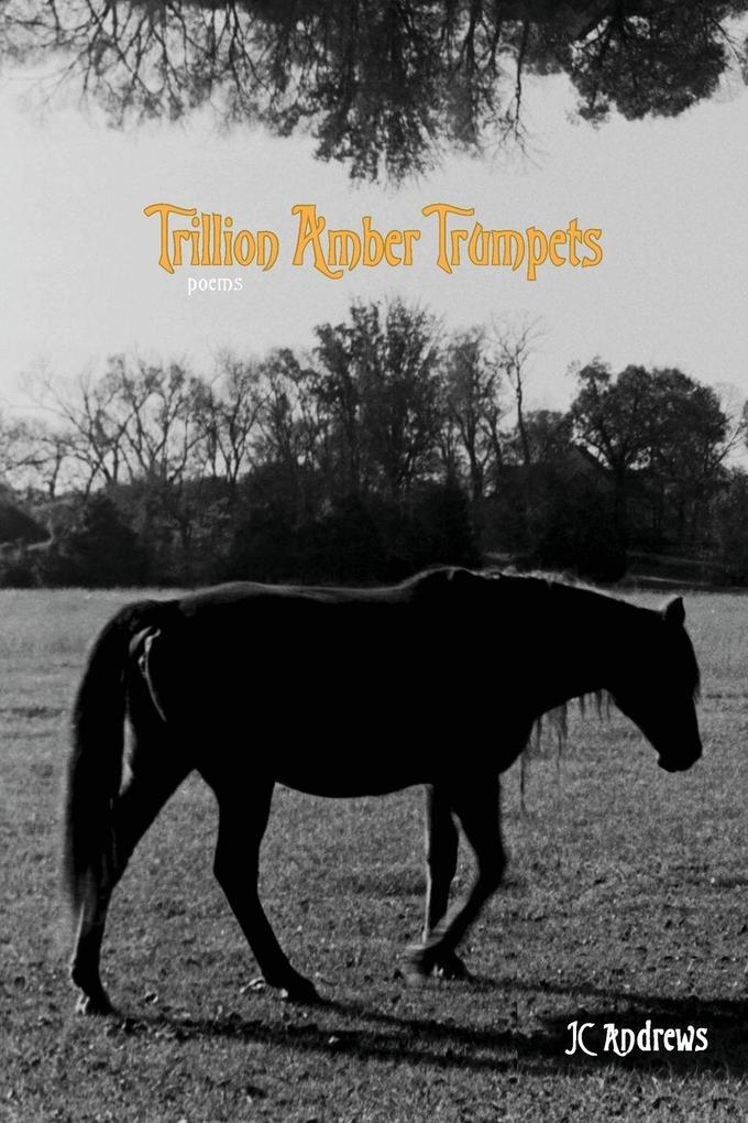 Trillion Amber Trumpets