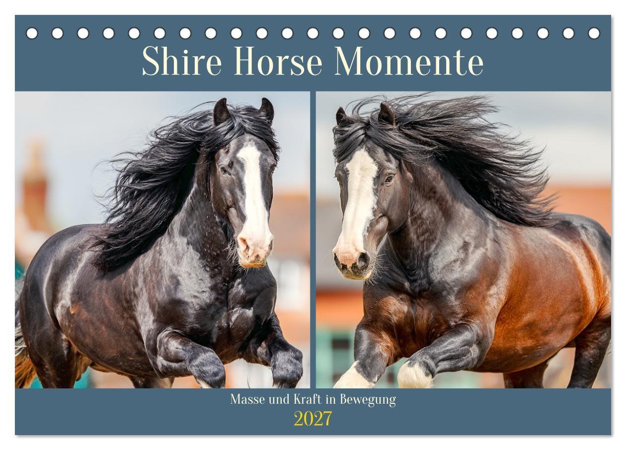 Shire Horse Momente. Masse und Kraft in Bewegung (Tischkalender 2027 DIN A5 quer) CALVENDO Monatskalender