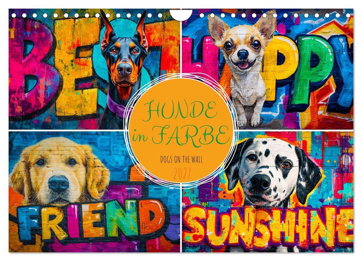 Hunde in Farbe - Dogs on the Wall (Wandkalender 2027 DIN A4 quer) CALVENDO Monatskalender
