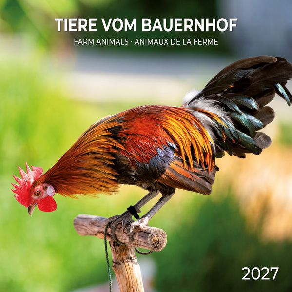 Tiere vom Bauernhof / Farm Animals 2027