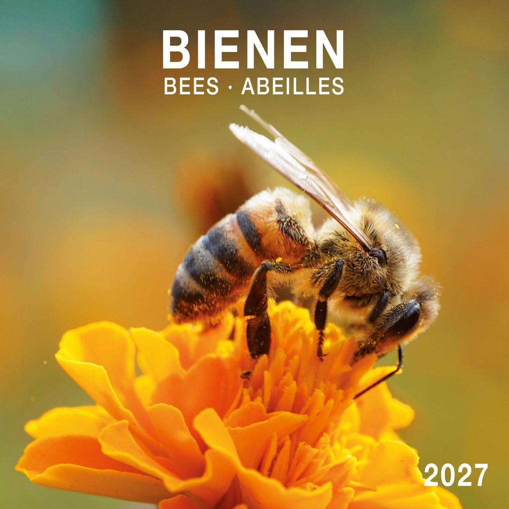 Bienen / Bees 2027