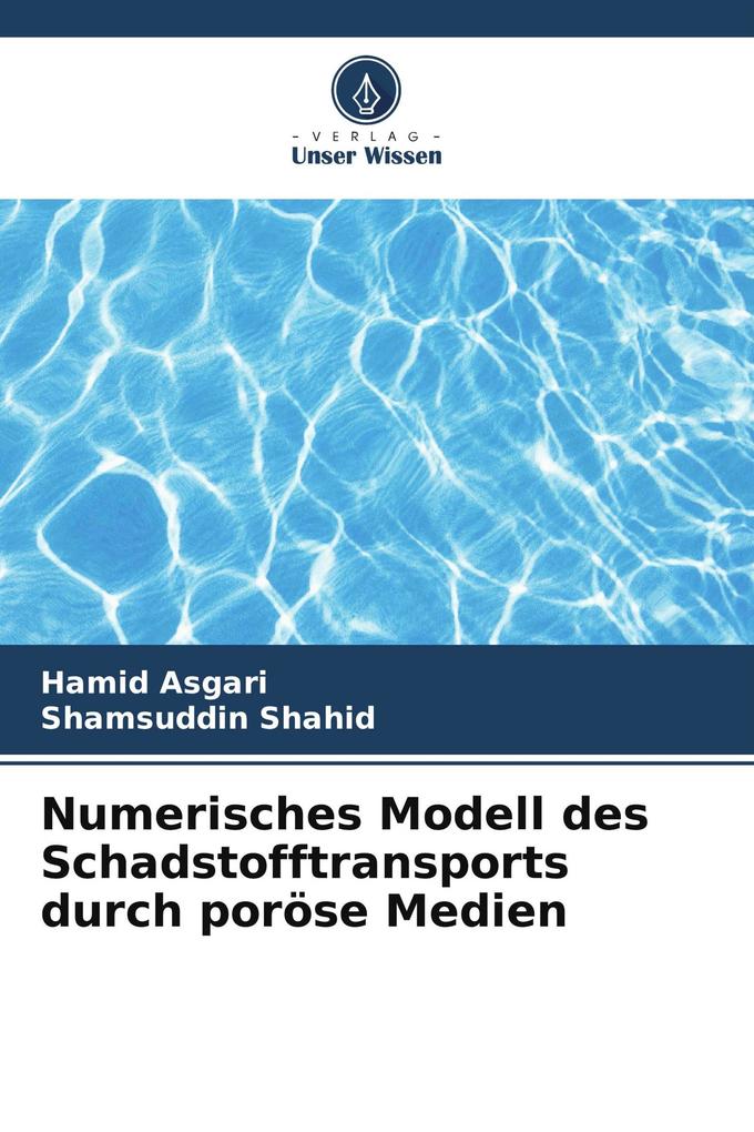 Numerisches Modell des Schadstofftransports durch poröse Medien