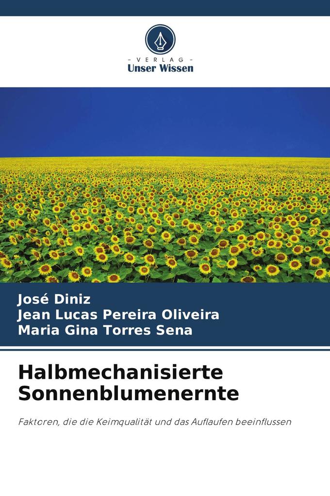 Halbmechanisierte Sonnenblumenernte