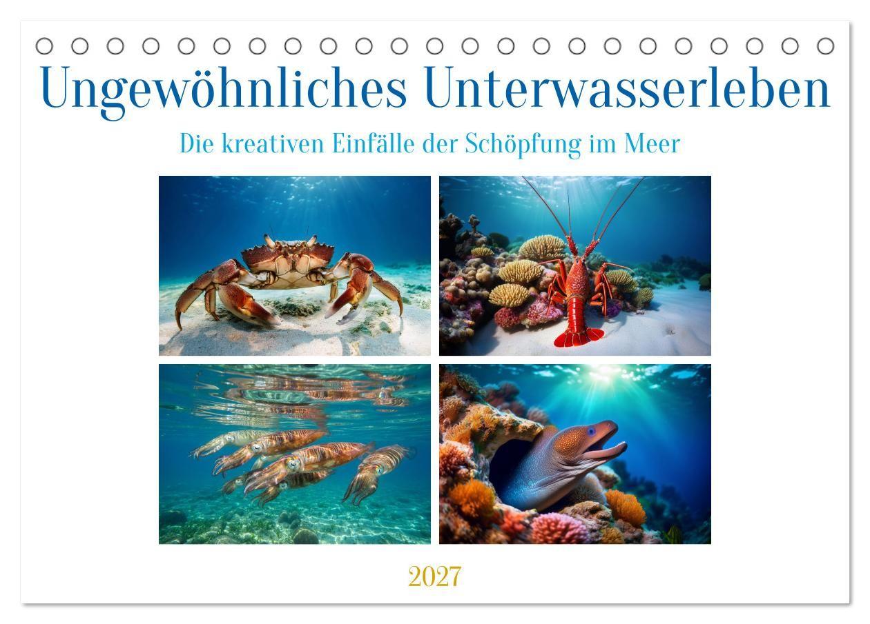 Ungewöhnliches Unterwasserleben (Tischkalender 2027 DIN A5 quer) CALVENDO Monatskalender