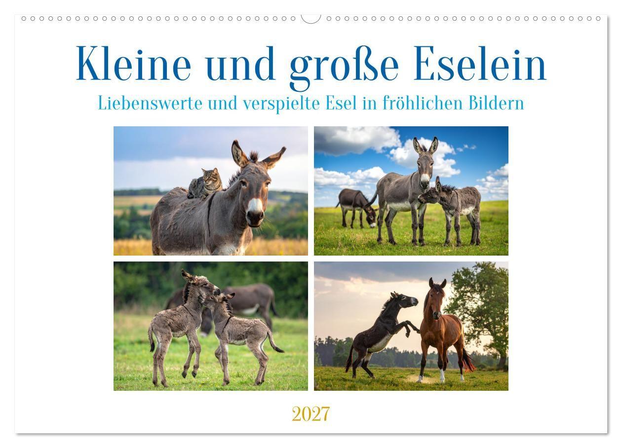 Kleine und große Eselein (Wandkalender 2027 DIN A2 quer) CALVENDO Monatskalender