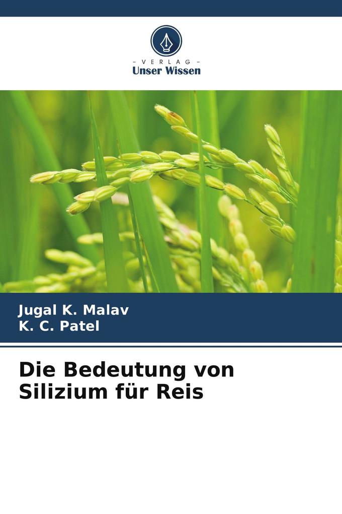 Die Bedeutung von Silizium für Reis