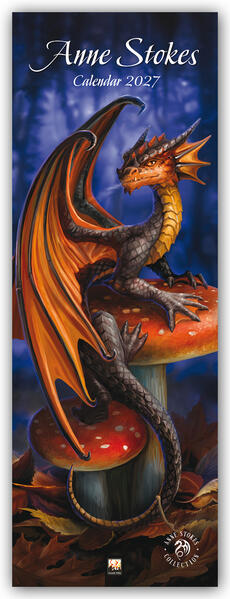 Anne Stokes - Slimline-Kalender 2027 - Original Flame Tree Publishing-Kalender Slimeline [Kalender]