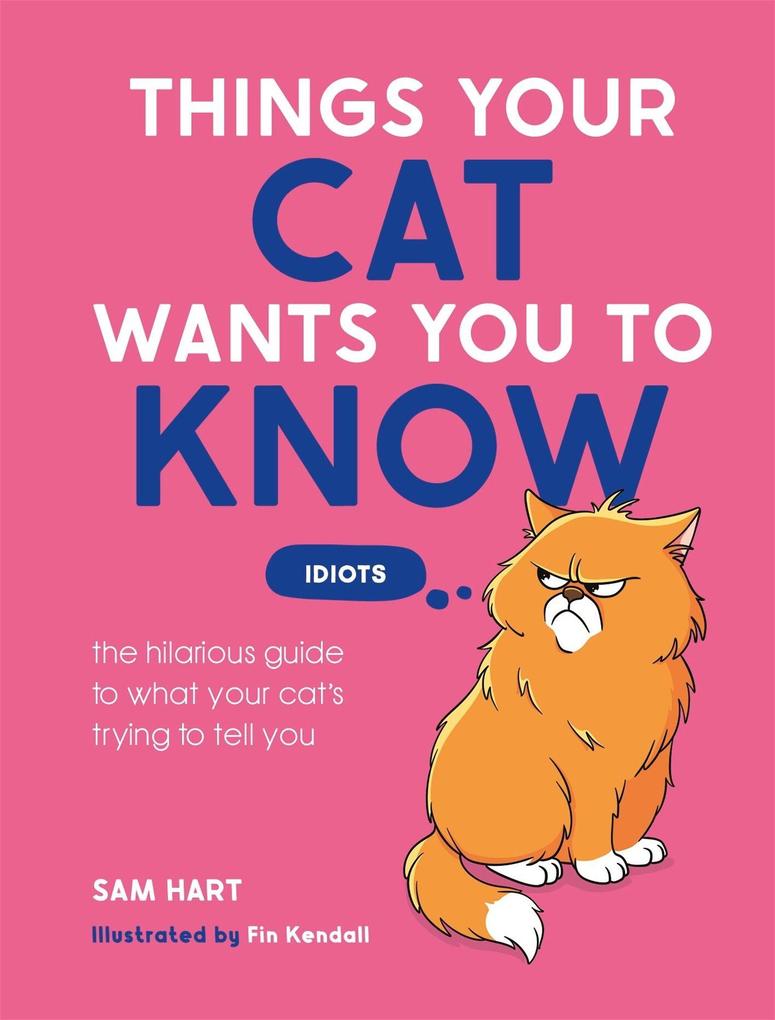 Things Your Cat Wants You to Know