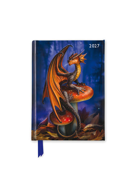 Anne Stokes - Taschenkalender 2027