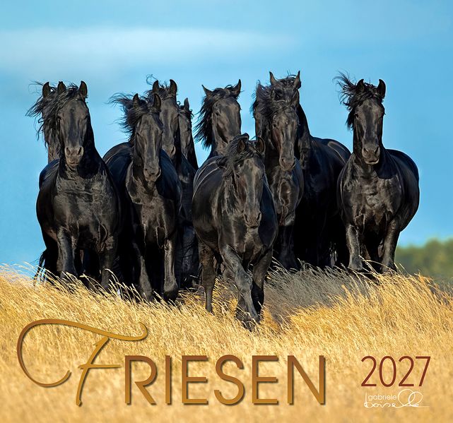 Friesen 2027
