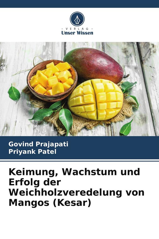 Keimung Wachstum und Erfolg der Weichholzveredelung von Mangos (Kesar)