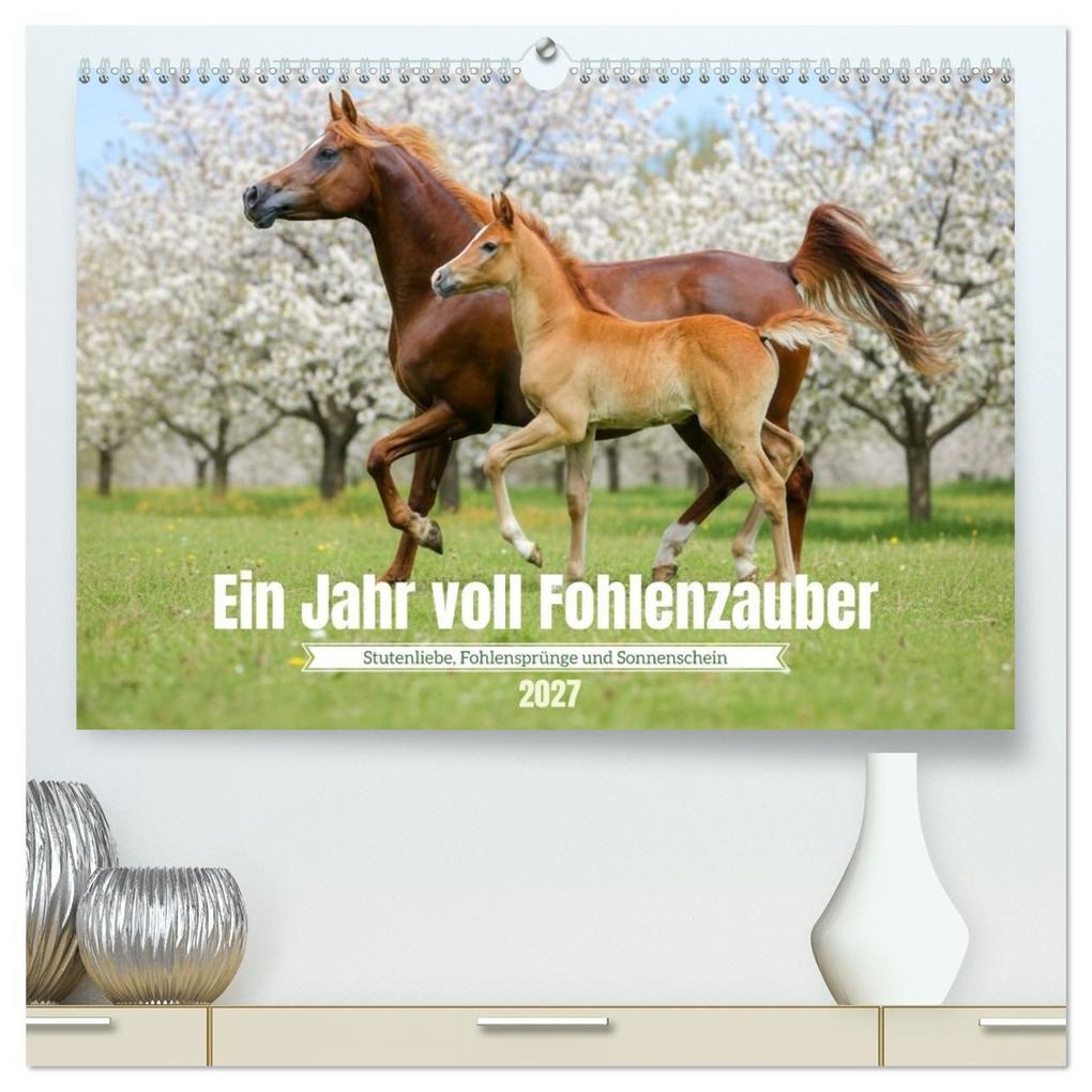 Ein Jahr voll Fohlenzauber (hochwertiger Premium Wandkalender 2027 DIN A2 quer) Kunstdruck in Hochglanz
