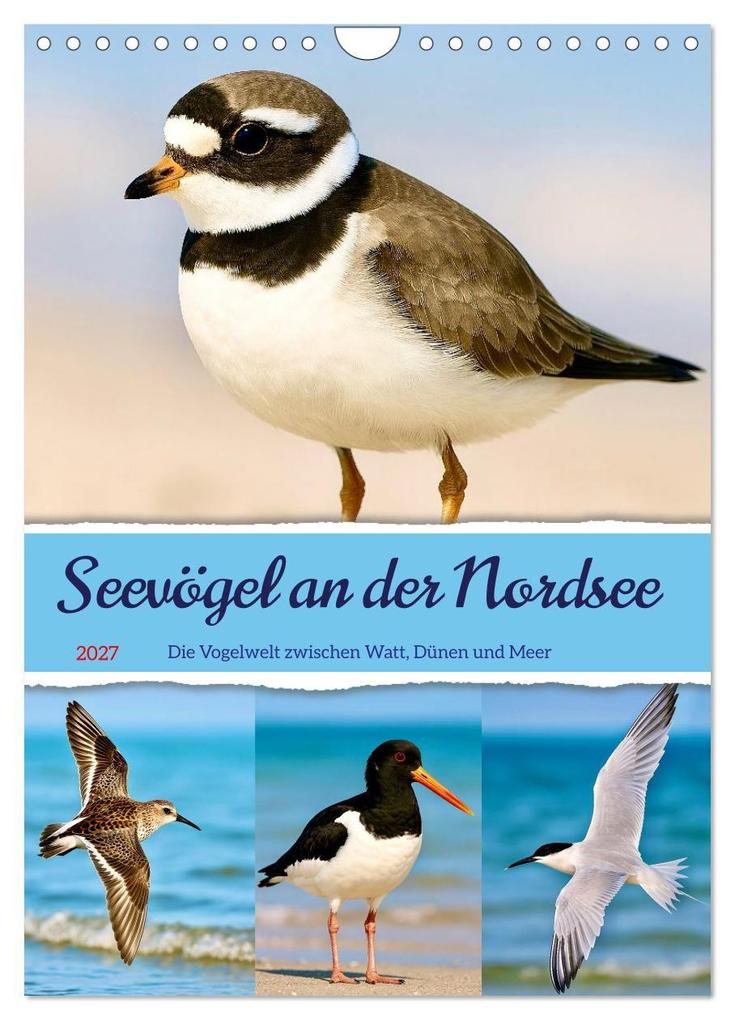 Seevögel an der Nordsee (Wandkalender 2027 DIN A4 hoch) CALVENDO Monatskalender