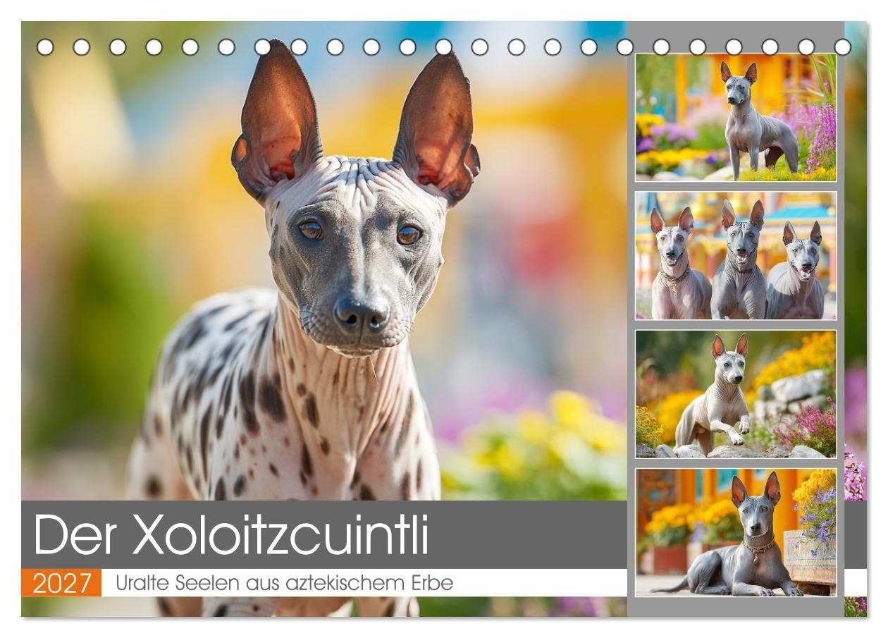 Der Xoloitzcuintli. Uralte Seelen aus aztekischem Erbe (Tischkalender 2027 DIN A5 quer) CALVENDO Monatskalender