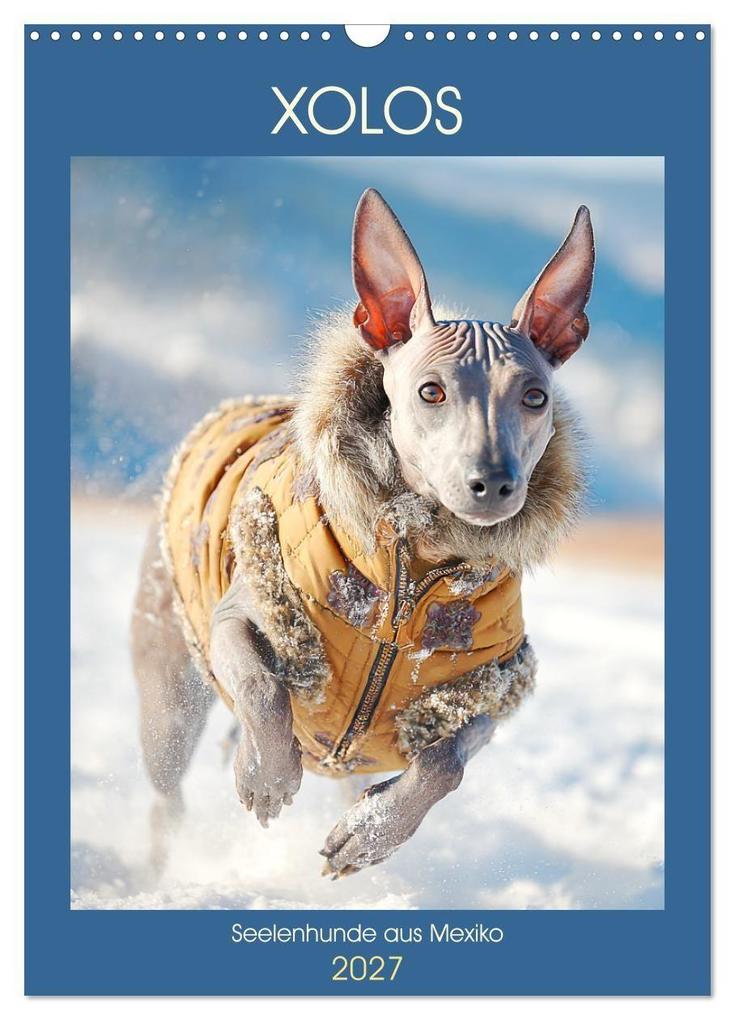 Xolos. Seelenhunde aus Mexiko (Wandkalender 2027 DIN A3 hoch) CALVENDO Monatskalender