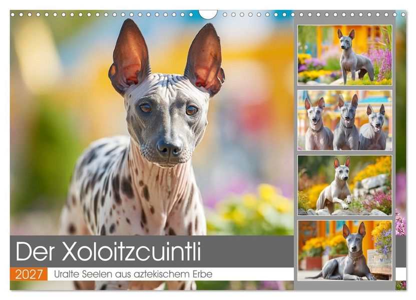 Der Xoloitzcuintli. Uralte Seelen aus aztekischem Erbe (Wandkalender 2027 DIN A3 quer) CALVENDO Monatskalender