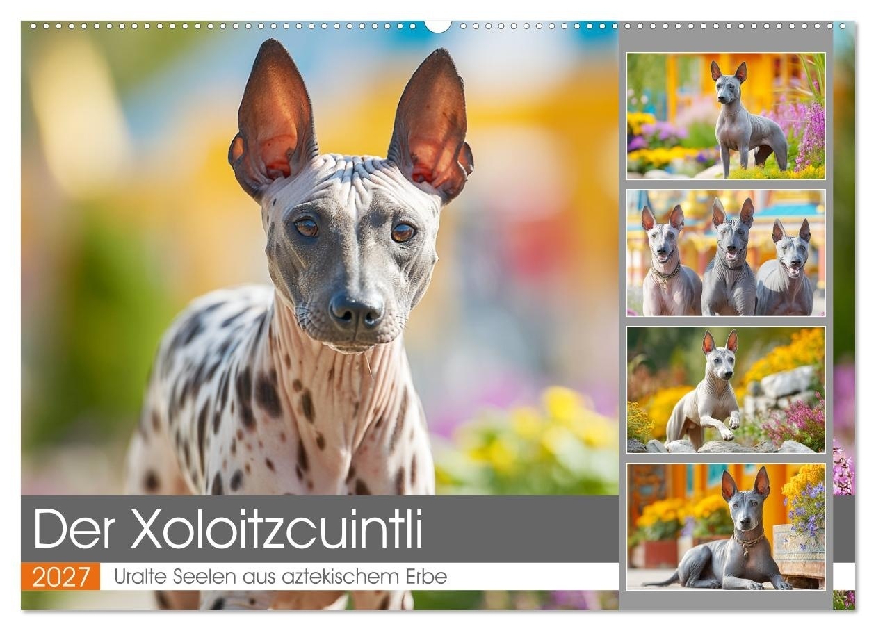 Der Xoloitzcuintli. Uralte Seelen aus aztekischem Erbe (Wandkalender 2027 DIN A2 quer) CALVENDO Monatskalender