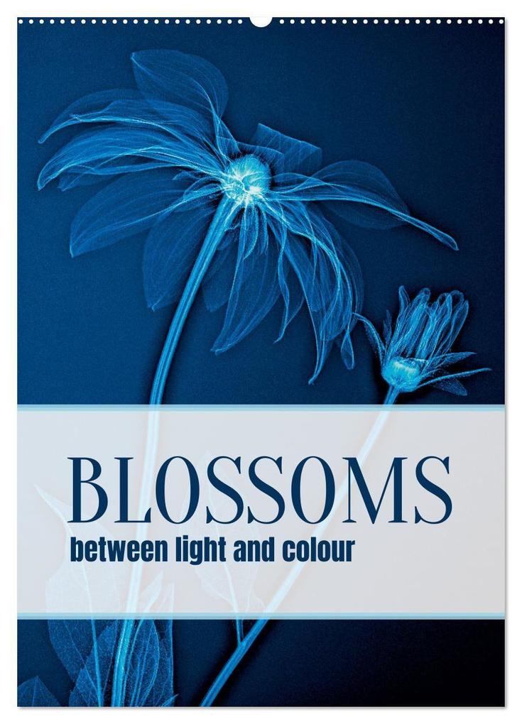 Blossoms between light and colour (Wall Calendar 2027 DIN A2 portrait) CALVENDO 12 Month Wall Calendar