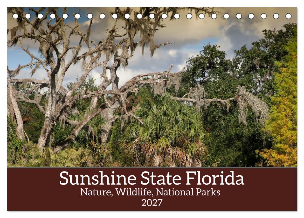 Sunshine State Florida Nature Wildlife National Parks (Desk Calendar 2027 DIN A5 landscape) CALVENDO 12 Month DeskCalendar