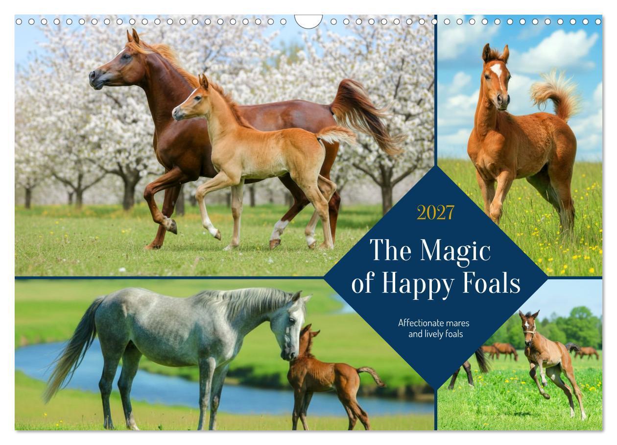 The Magic of Happy Foals (Wall Calendar 2027 DIN A3 landscape) CALVENDO 12 Month Wall Calendar