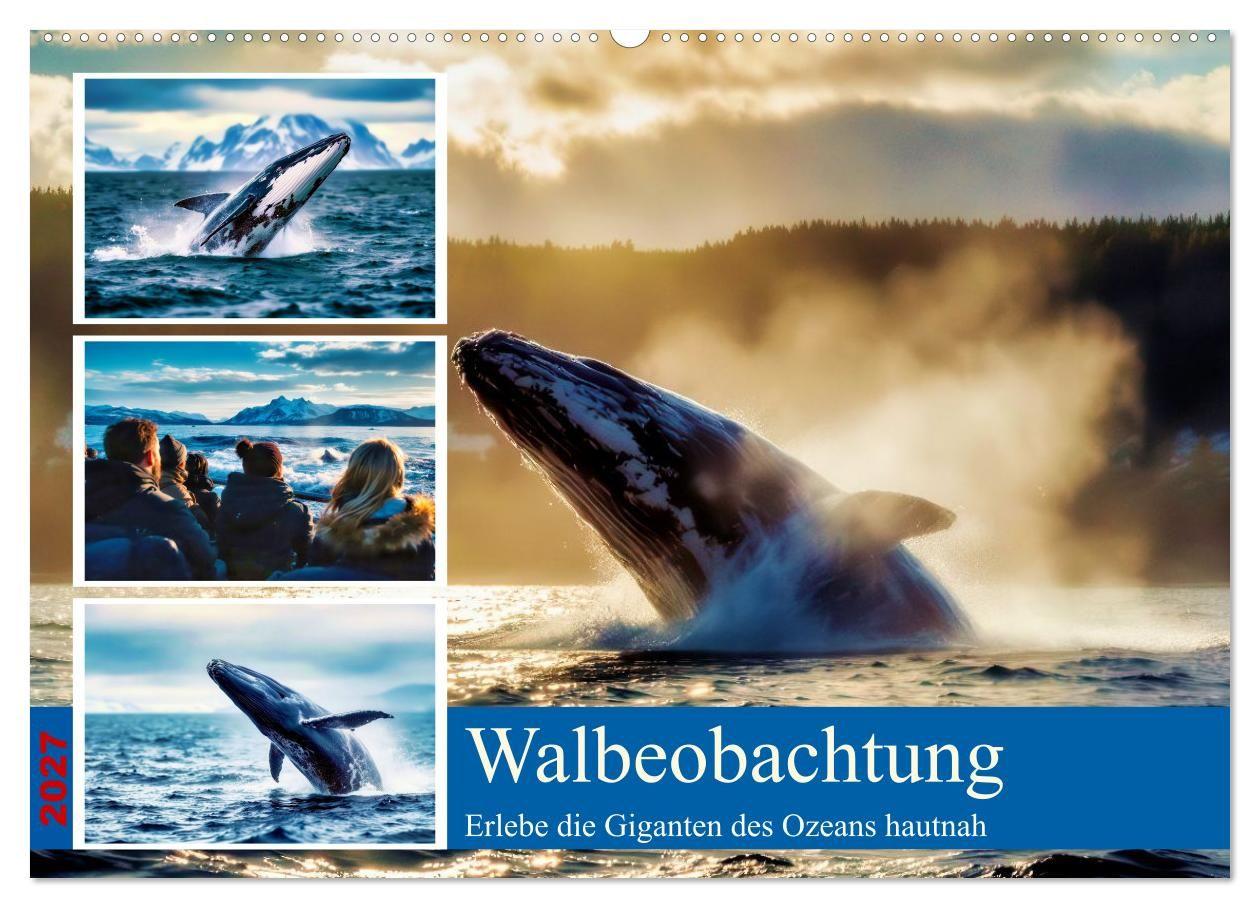 Whale Watching (Wandkalender 2027 DIN A2 quer) CALVENDO Monatskalender