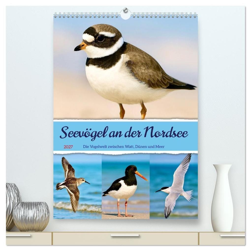 Seevögel an der Nordsee (hochwertiger Premium Wandkalender 2027 DIN A2 hoch) Kunstdruck in Hochglanz