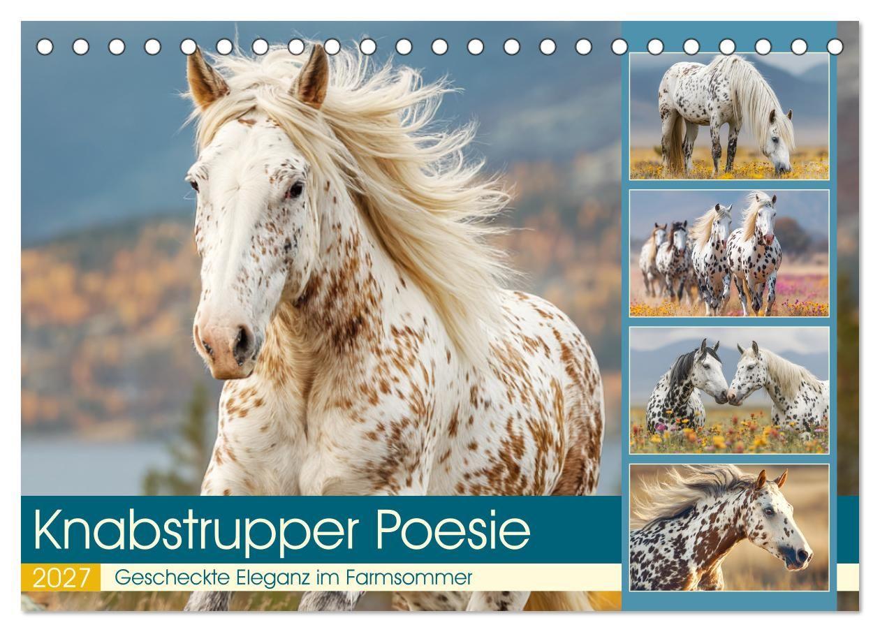 Knabstrupper Poesie. Gescheckte Eleganz im Farmsommer (Tischkalender 2027 DIN A5 quer) CALVENDO Monatskalender