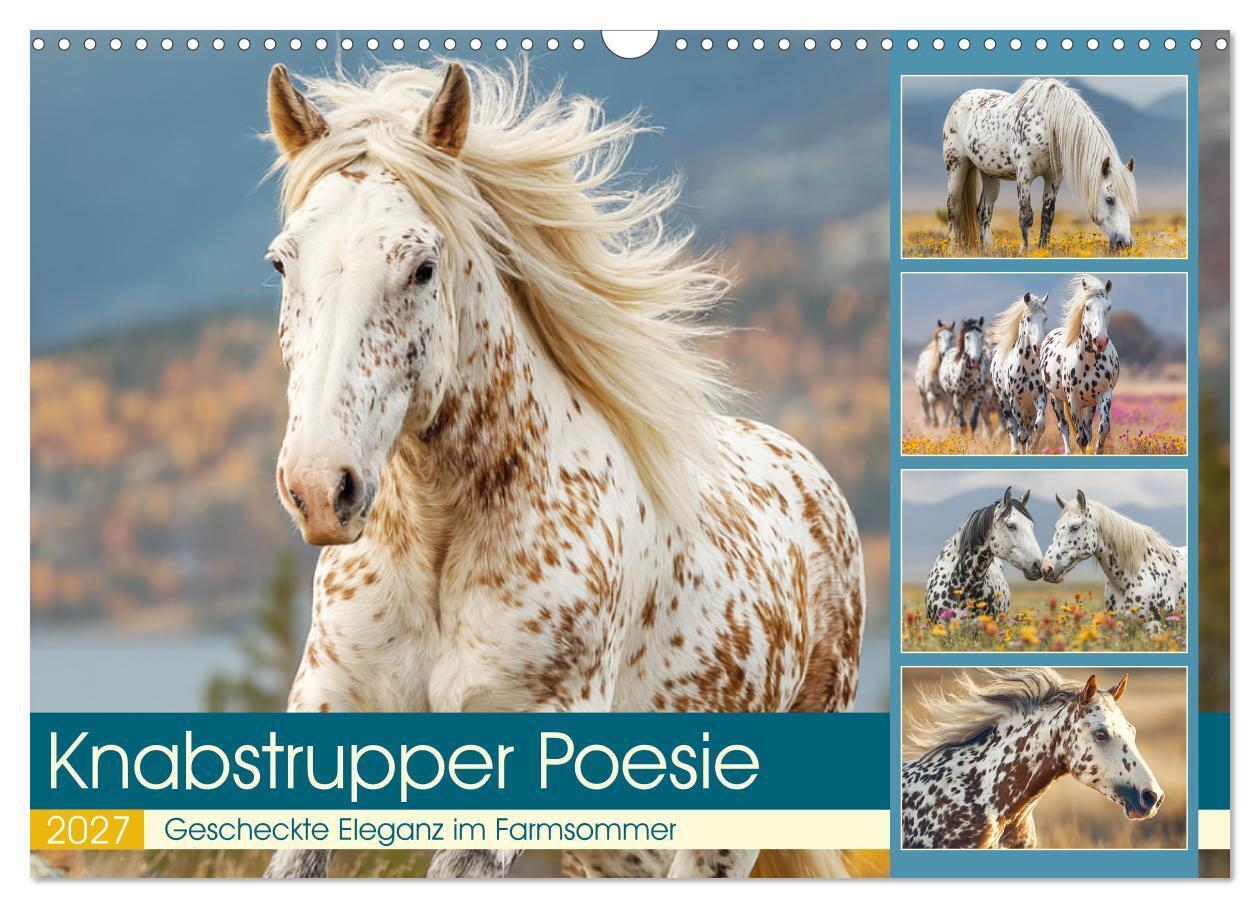 Knabstrupper Poesie. Gescheckte Eleganz im Farmsommer (Wandkalender 2027 DIN A3 quer) CALVENDO Monatskalender